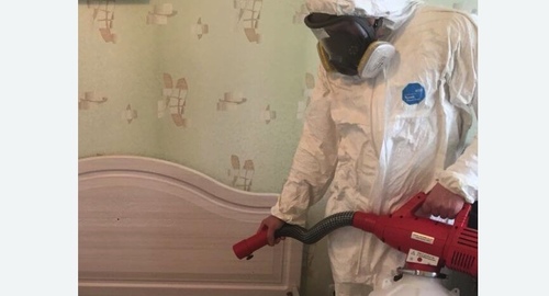 Уничтожение клещей в квартире. Горный Щит