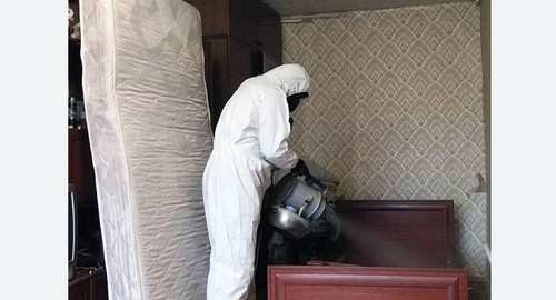 Дезинфекция от клопов Горный Щит