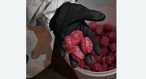 Травля крыс. Горный Щит